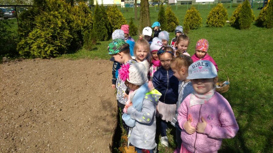 Dzieci sieją warzywa i sadzą kwiatki w przedszkolnym ogródku
