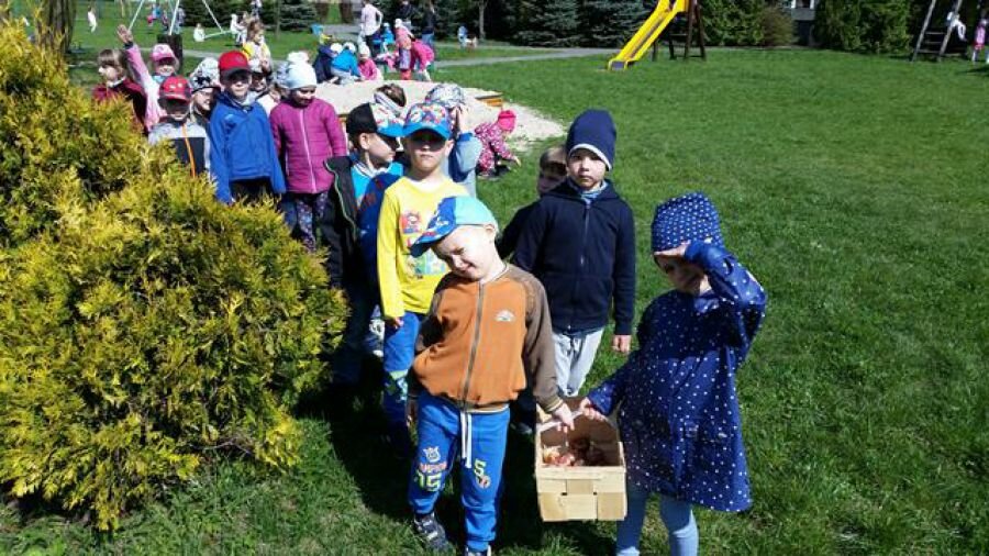 Dzieci niosą w koszyku cebulki kwiatów do przedszkolnego ogródka.