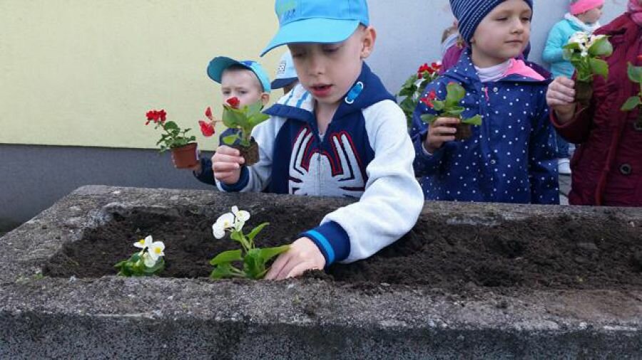 Chłopiec sadzi kwiatki. Z tyłu stoją dzieci oczekujące na swoją kolej.
